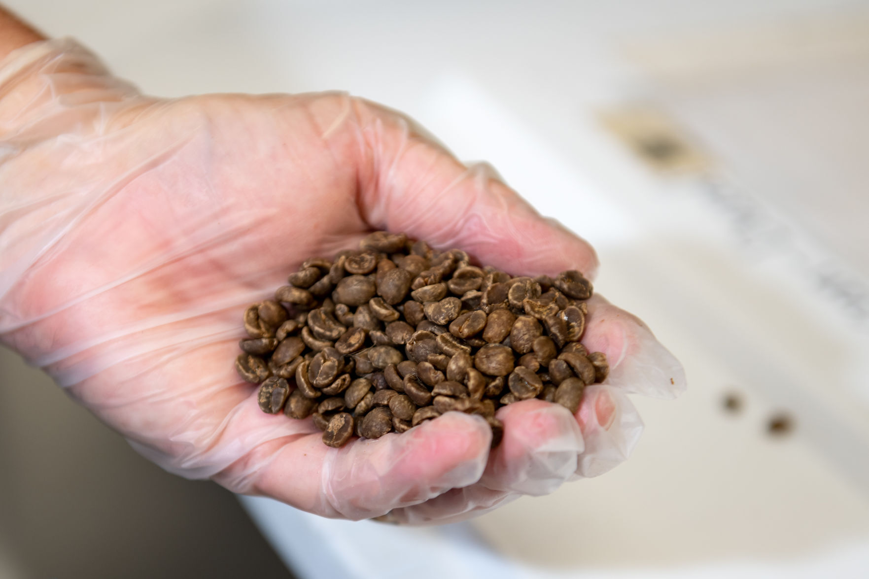 Jumpy Monkey Coffee Roasting Co.